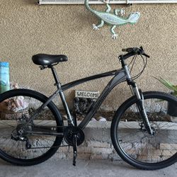 29” Ironhorse Mountain Bike