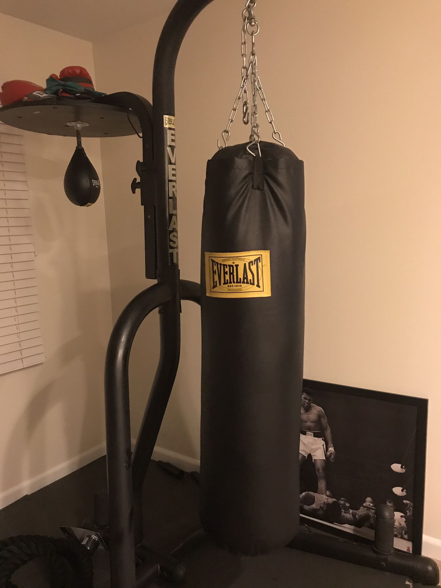 Everlast Heavy Bag with Stand and Speed Bag