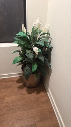 Fake plant