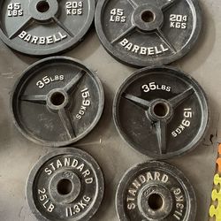 Olympic weight plates.           180 dollars