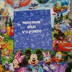 Brand New Walt Disney World Frame