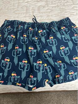 Men’s Swim Shorts