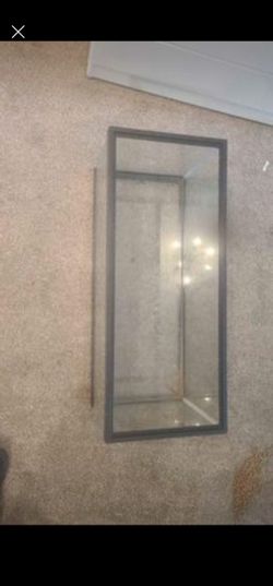 20 Gallon Aquarium