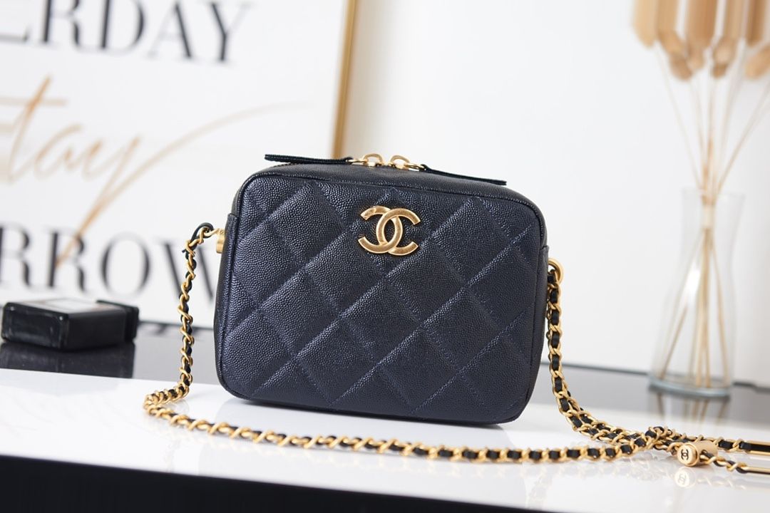 Chanel Mini Camera Case Bags 31 1  