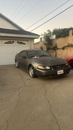 2000 Ford Mustang