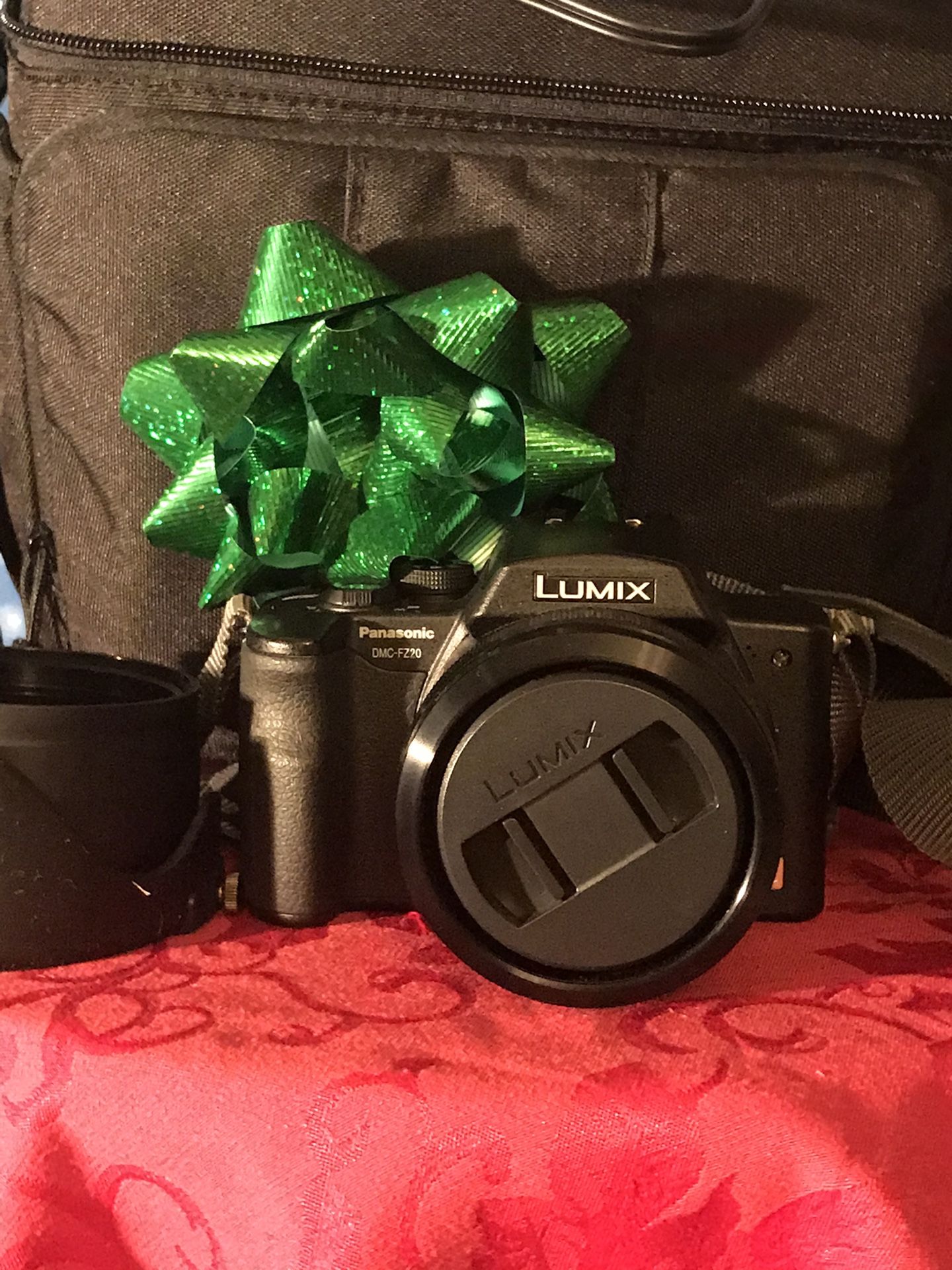 LUMIX Pro Digital Camera And Case