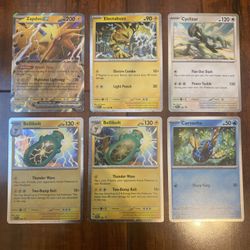 Pokemon Zapdos EX Electabuzz Cyclizar Carvanha Bellibolt Black Star Promo Lot of 6!