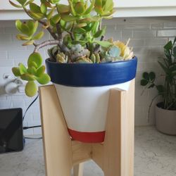 BEAUTIFUL SUCCULENTS WITH WOODEN VASE: POTS PAINTED WITH EYE-CATCHING COLORS. INCLUDES WOODEN VASE