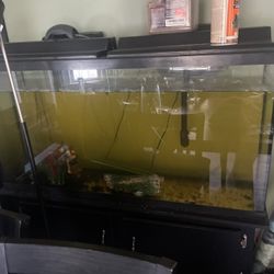 Fish tank