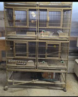 Bird cage