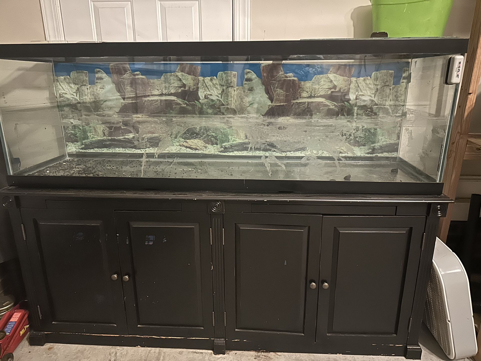 125 Gallon Fish Tank