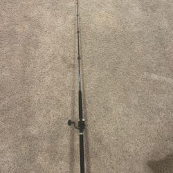 Diawa Saltist 7’0 Medium Heavy With Diawa BG 3000 Fully Spooled White Braid Rod And Reel Combo