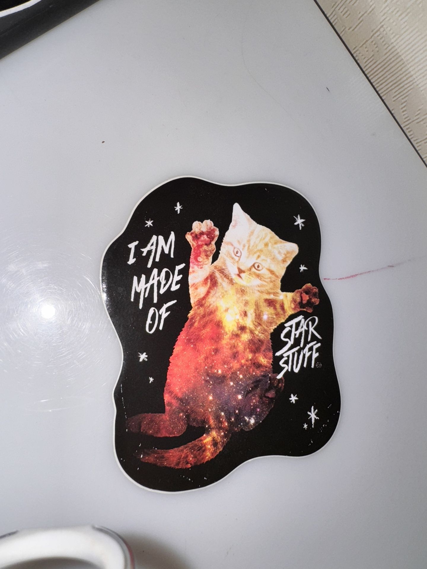 Cute Cat Lover Sticker