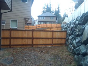 Cedar fence