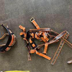 Orange Color New Harness For Sale With Extra Belt