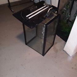 Fish Tank