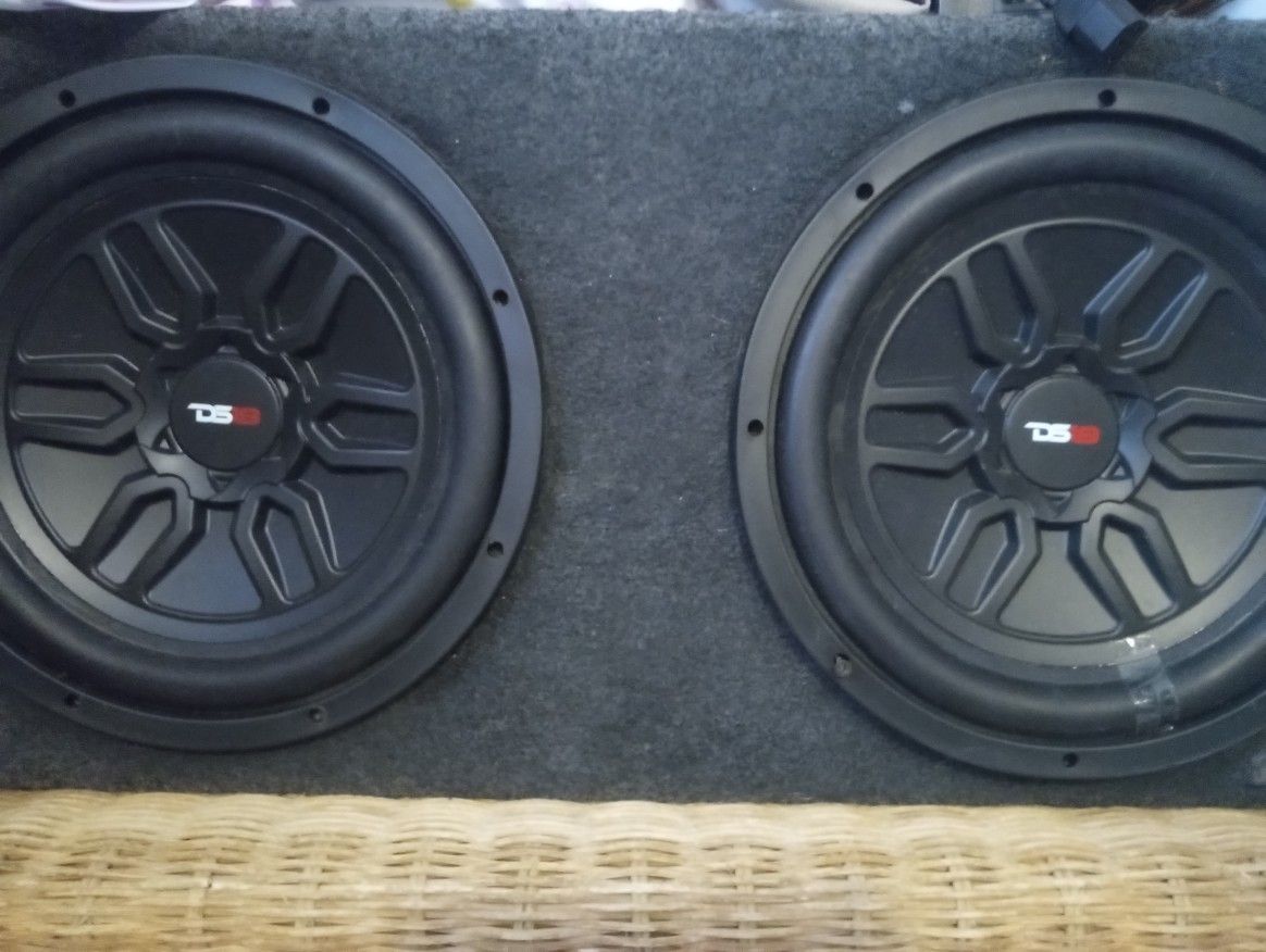 2 Ds18 12in Subwoofers