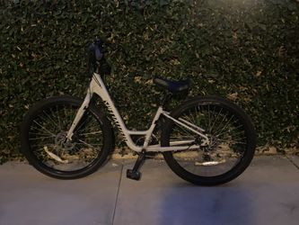 Specialized Roll bike