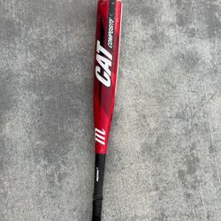 Cat Baseball Bat
