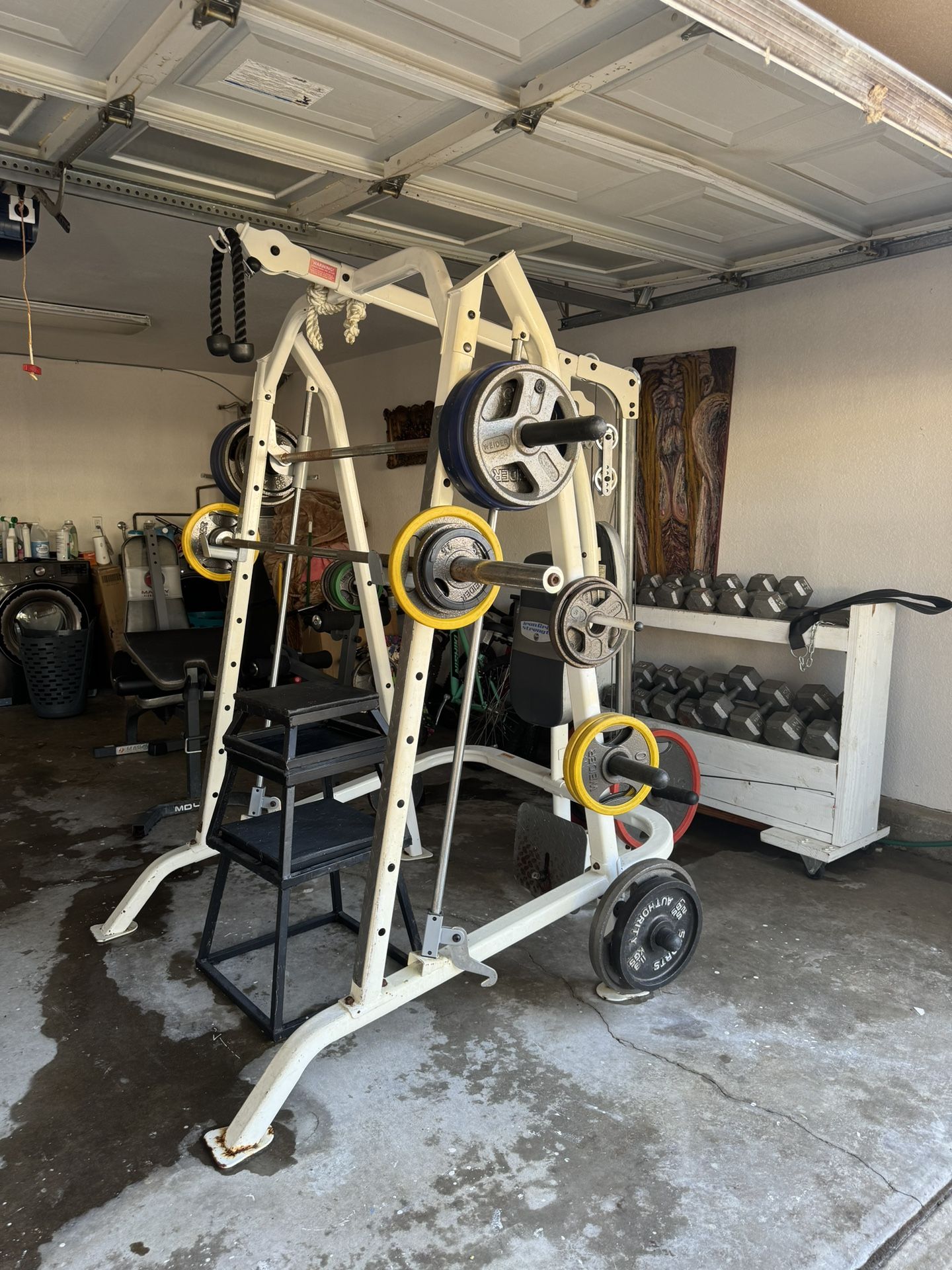 Impex Iron Grip Strength Smith Machine (IGS-5100)