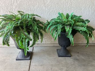 Pair of Black Urn Planters with Fake Ferns