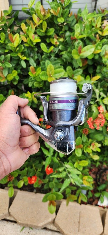 4000 Shimano Sienna