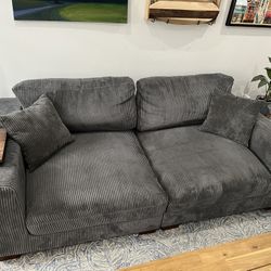 Corduroy Couch