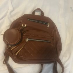 Brown Backpack Purse 