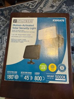 Motion light
