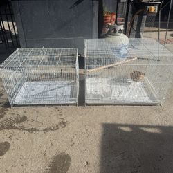 Birdcages