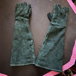 Dog Training Gloves 