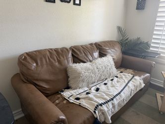 Leather Sofa Sleeper