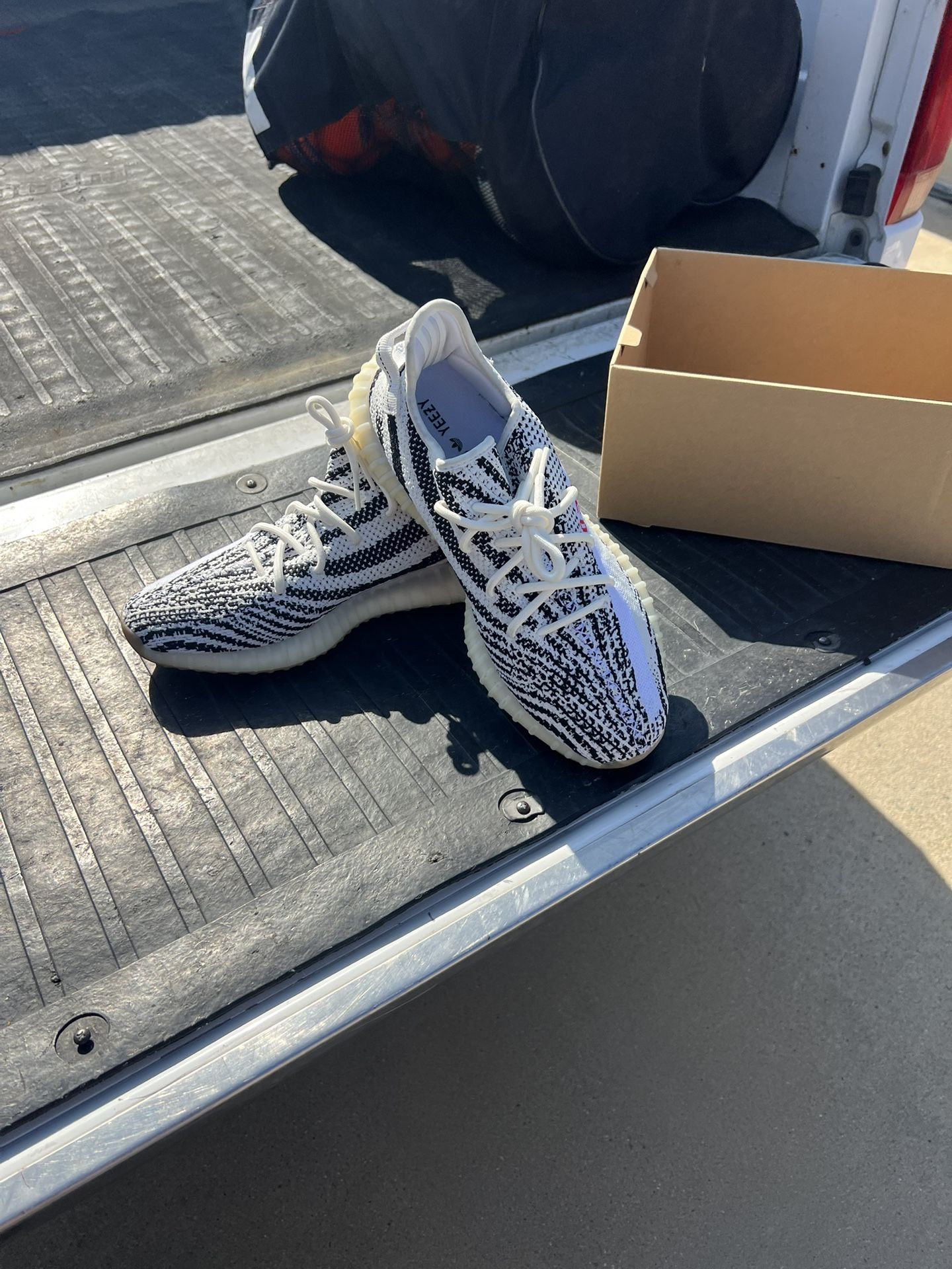 Yeezy Zebra Size 11 (Used)