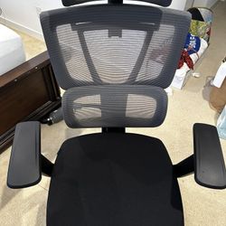Premium Ergo Office Chair (C7 Max)