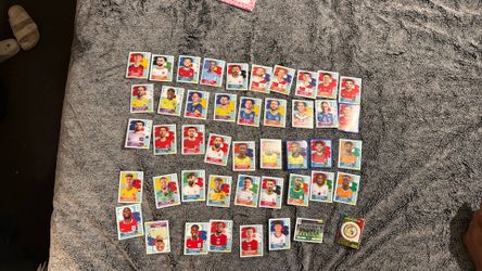 Panini sticker