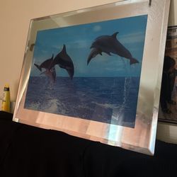 Dolphin Glass Frame 