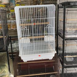 Parrot Cage