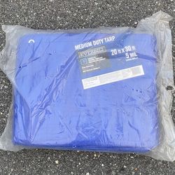 20 ft. x 30 ft. Blue Medium Duty Tarp Carpa