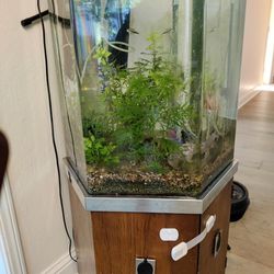 Fish Tank With All The Supplies And Fish 