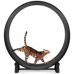 Cat Exercise Wheel