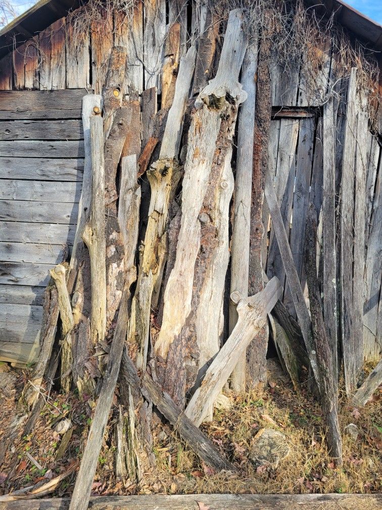 Pine Slabs For Sale