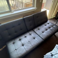Sofa / Pull Out Couch