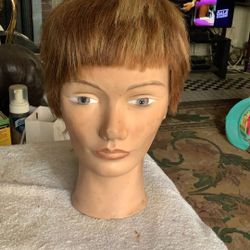 Cosmology Manikin Head