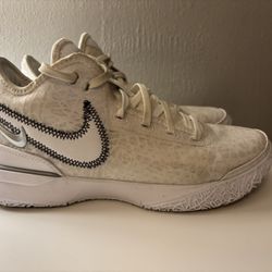 Zoom LeBron NXXT Gen ‘White’ Size Men’s 9