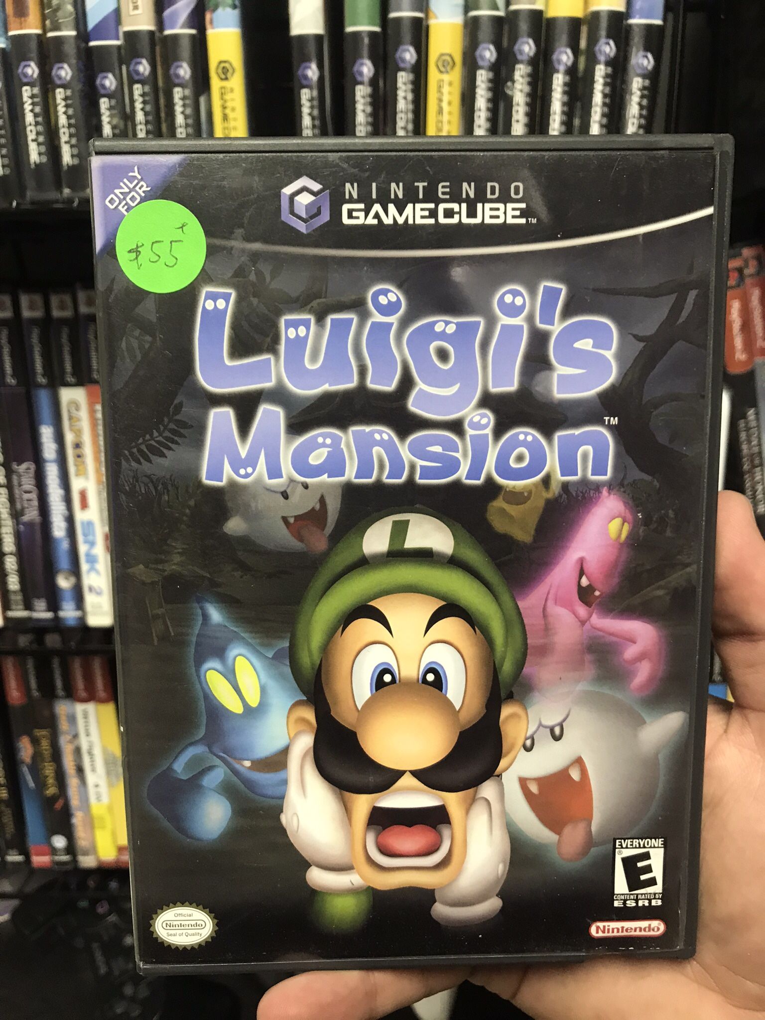 Luigis Mansion GameCube
