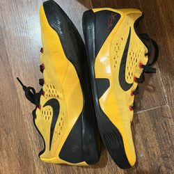 Nike Kobe Bruce Lees Size 7.5 