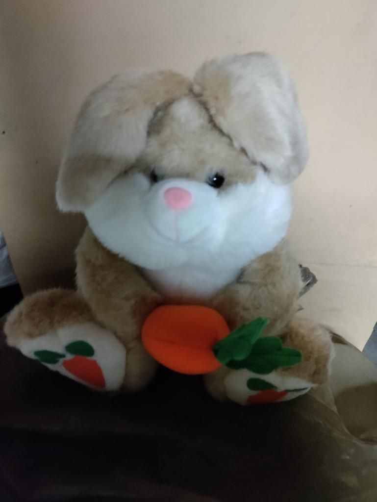 Stuffed Bunny w/carrot