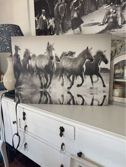 Black and White Running Horses Canvas Print