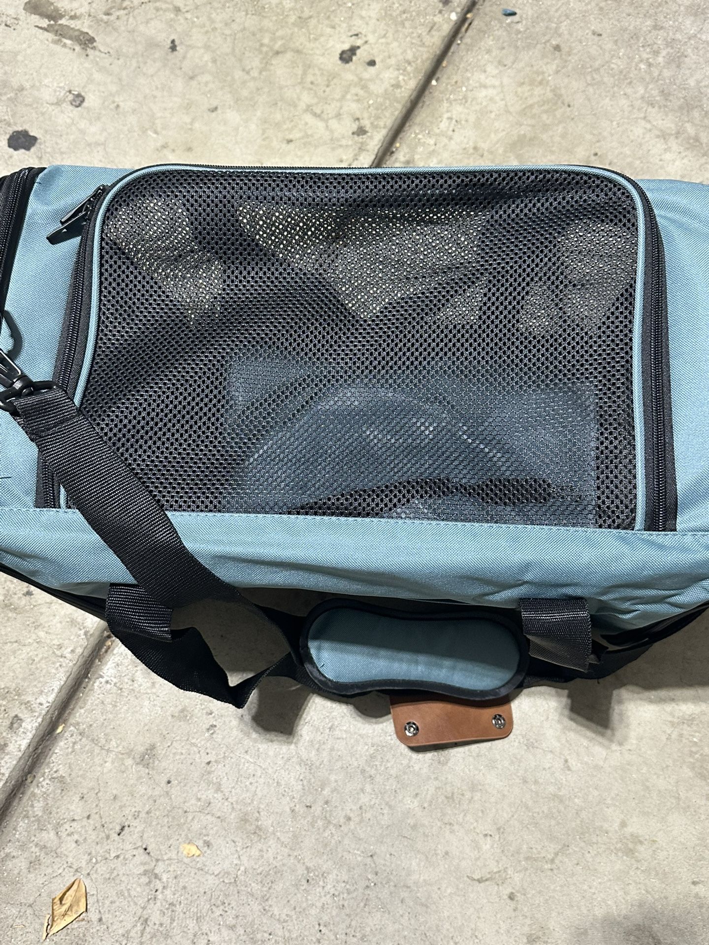 Small Dog Carry On Bag 