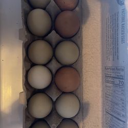 Eggs A Dozen